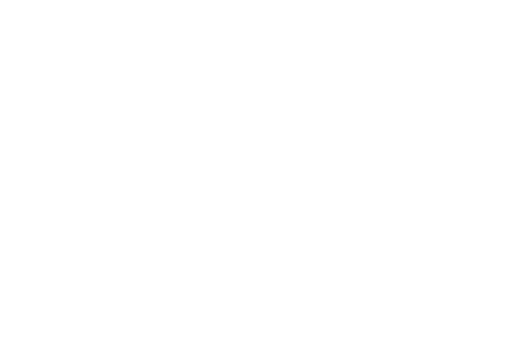 Logo MilleEclats Blanc